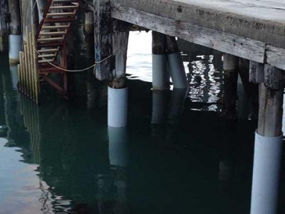 Wharf Pile Repair